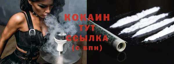 крисы Абаза