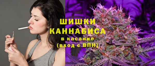 PSILOCYBIN Няндома