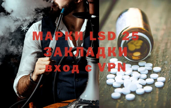 крисы Абаза