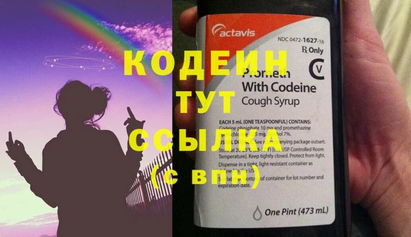 крисы Абаза
