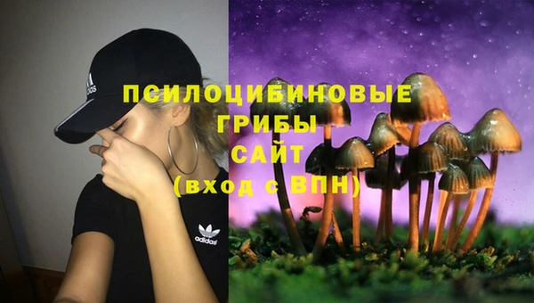первитин Алексин