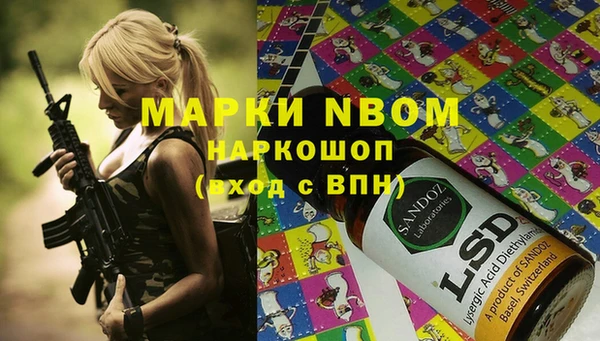крисы Абаза